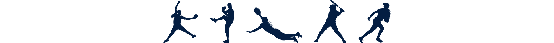 Footer Image